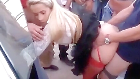 Bitchy gals are showing off their huge ass in the pool